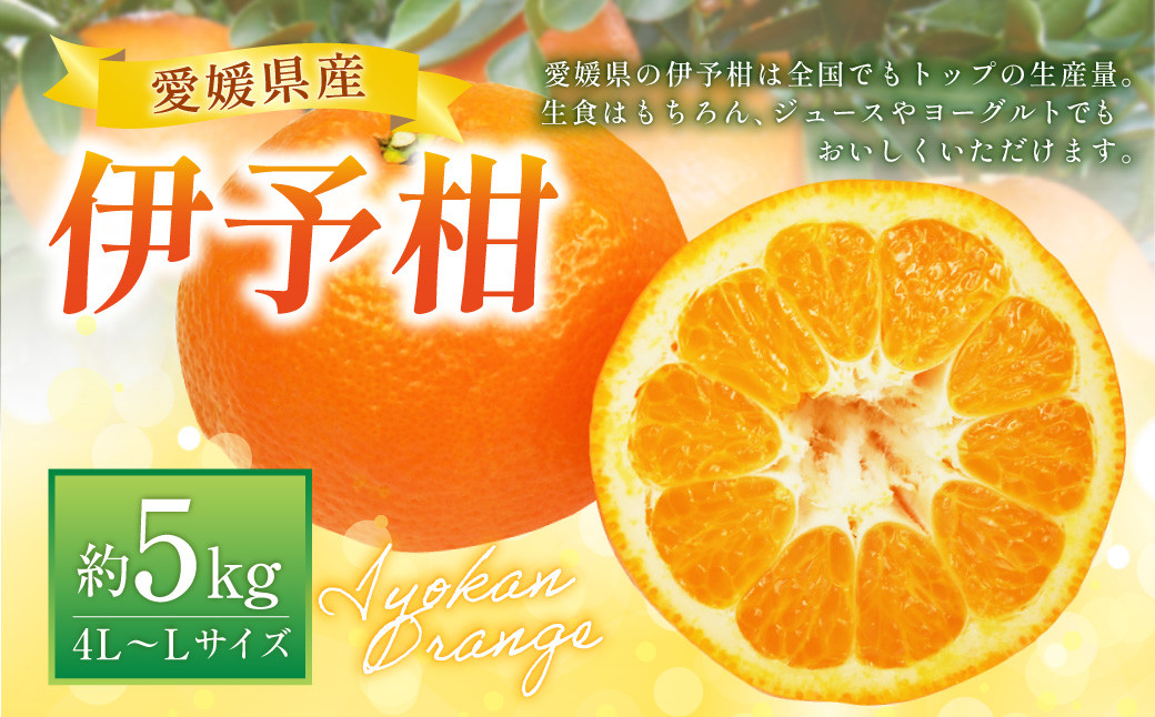 
            伊予柑4L～Lサイズ （約5kg） みかん 蜜柑 柑橘 果物 くだもの フルーツ 【2026年1月上旬～2026年2月上旬発送予定】(520)
          