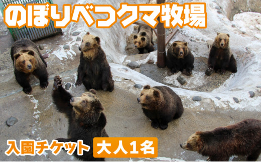 
のぼりべつクマ牧場入場券 大人（中学生以上）1名様
