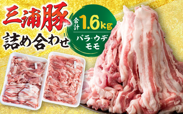特盛三浦豚 1.6kg 豚肉セット バラ ウデ モモ 国産 ポーク 大容量 恵那市 / あづま精肉店 [AUDL001]