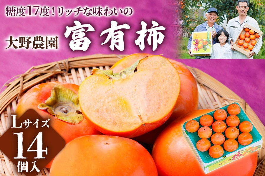 
                  【令和8年産／2026年11月中旬～発送予定】[柿の王様] の 富有柿 Lサイズ ( 14個 入)  先行予約 ｜大野農園 [0604] [mt097_26]
                