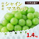 【ふるさと納税】山形産 シャインマスカット 1.4kg(2～4房) 10月お届け 【令和6年産先行予約】FS23-856