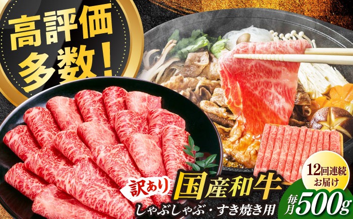 【全12回定期便】【訳あり】博多和牛 しゃぶしゃぶすき焼き用 500g《築上町》【株式会社MEAT PLUS】[ABBP093]