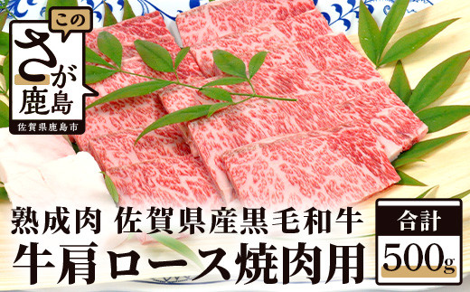 
E-49 【熟成肉】佐賀県産黒毛和牛 牛肩ロース 焼肉用 500ｇ
