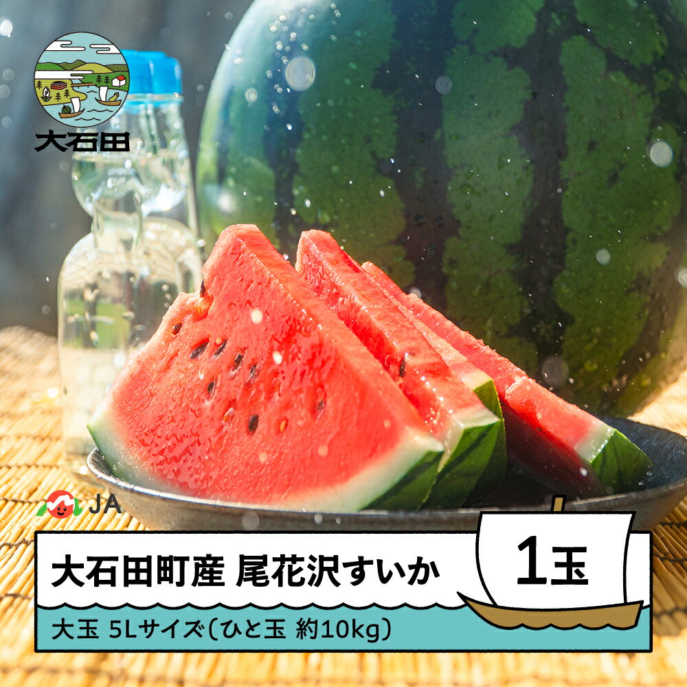【ふるさと納税】尾花沢すいか 大玉 5L×1玉入り 2026年産 令和8年産 送料無料 スイカ 大石田 ja-suo1x5