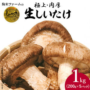 しいたけ・椎茸『駒来ファームの 極上・肉厚 生しいたけ』 極上しいたけ 肉厚 生しいたけ 生シイタケ 生椎茸 安心 安全 国産 採れたて 新鮮 きのこ 野菜 [131L01]