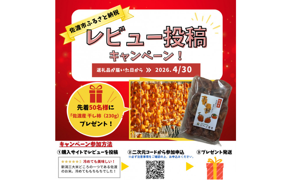 【レビューキャンペーン実施中！】令和7年産 佐渡 川上農産のこしいぶき（2kg×2）