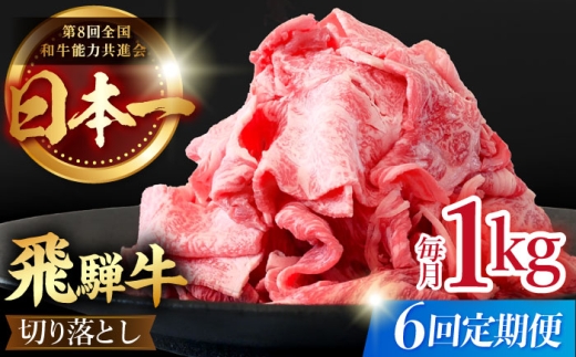 【 6回 定期便 】【 飛騨牛 】切り落とし 総計 6kg 〈 1回あたり 〉1kg ( 250g × 4 ) 肉 飛騨牛 和牛 ブランド牛 高級 国産牛 黒毛和牛 ビーフ 牛 牛肉 きりおとし 切り落とし 切り落し / 多治見市 / 肉のひぐち [TDC015]