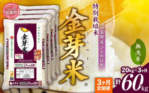 【 定期便 3回 】米 無洗米 金芽米 令和6年 宮城県 加美産 ひとめぼれ 特別栽培米 計 60kg ( 20kg × 3回 )   [ 宮城県 加美町 ]  お米 こめ コメ 精米 白米 玄米 きんめまい おすすめ 新米 ナカリ タカラ米穀 パワーライス カメイ 新生活応援 美味しい こだわり