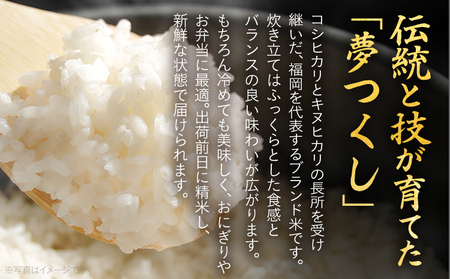 福岡県産米 夢つくし ５kg 米 令和7年産 精米 国産 米 白米 精米 こめ コメ ブランド米 ごはん おにぎり おやつ 単一米 福岡県 福岡 九州 グルメ お取り寄せ