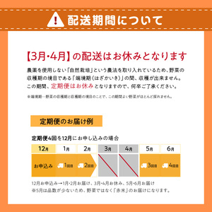 ＜京都産野菜定期便4回＞自然体な野菜セット 旬の野菜 野菜詰合せ 野菜セット 野菜定期便 ４回 自然農園 自然栽培 安心 安全 健康 マクロビ ベジタリアン 定期便 京野菜 京都 木津川  086-0