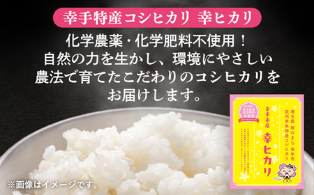 【令和7年産】無農薬・無化学肥料栽培 埼玉県幸手市産特別栽培コシヒカリ 「幸ヒカリ」精米10kg -  米 特別栽培米 幸手市産