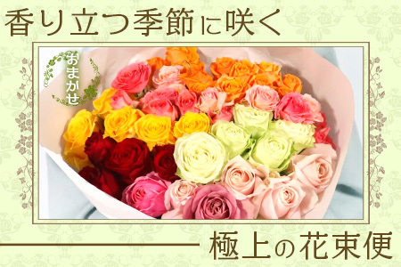 【人気の春・冬薔薇をお届け】 ばら農家直送 ！ バラ花束30本以上お届け(色はおまかせ) 【ギフト対応可】TB-16 │ ローズ 新鮮 花 フラワー 花束 ばら 薔薇 バラ 誕生日 記念日 結婚祝い 