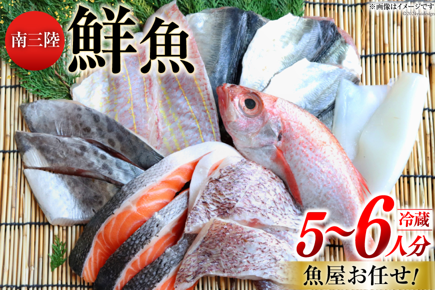 
鮮魚 詰め合わせ 魚屋お任せ！南三陸お楽しみ鮮魚 セット 5～6人分 [さかなのみうら 宮城県 南三陸町 30aj0002] 魚 タコ 牡蠣 ほや ホタテ 塩辛 佃煮 切り身
