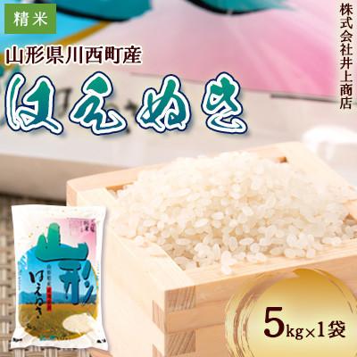 ふるさと納税 川西町 令和7年産山形県産はえぬき　精米 5kg×1袋