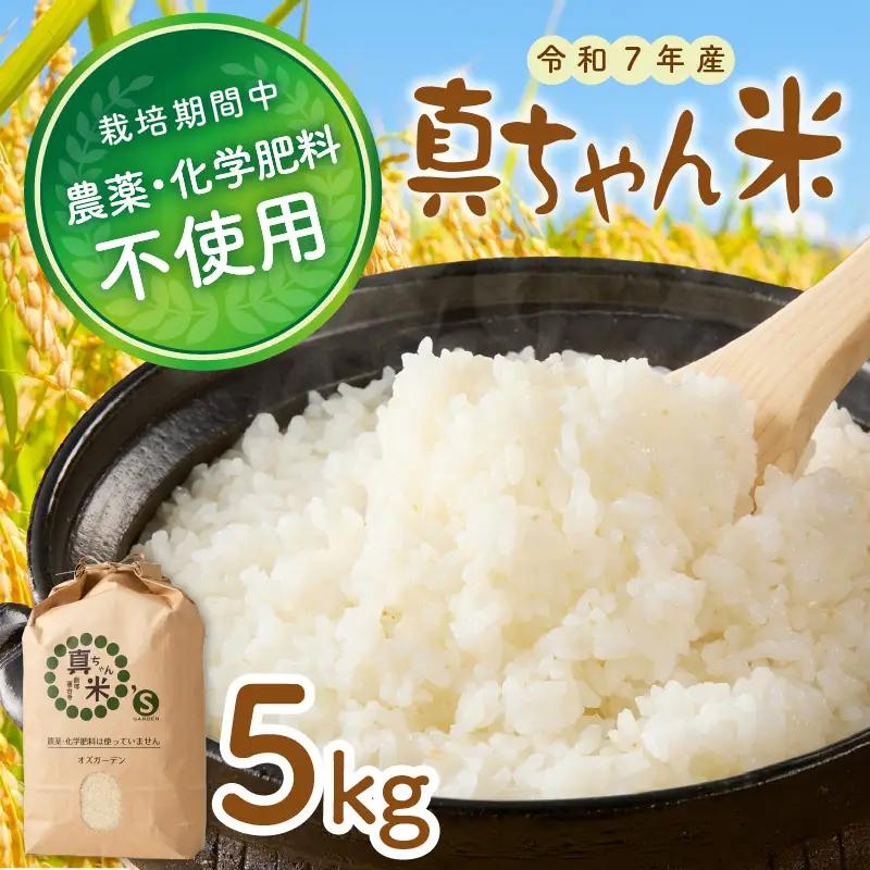 【令和7年産】農薬・化学肥料不使用 真ちゃん米 5kg (米 お米 白米 精米 新米 5キロ 国産 おにぎり 福岡 飯塚 福岡県 飯塚市)【B7-036】