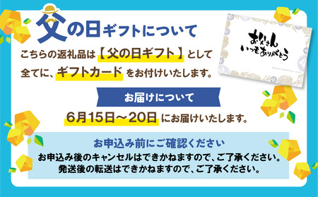 W61-35R02 【父の日】Best4バーグ 4種 6個 セット ハンバーグ