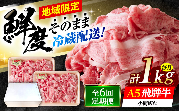 【6回定期便】 ※冷蔵配送/地域限定※ 飛騨牛 小間切 (大) 500g×2セット 瑞浪市 / きなぁた瑞浪 和牛 国産 岐阜県産 [AZCI072]