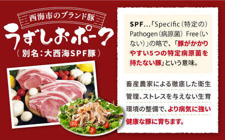 【訳あり】【月1回1.4kg×3回定期便】長崎うずしおポーク 焼肉＆しゃぶしゃぶセット 計4.2kg＜スーパーウエスト＞ [CAG095]