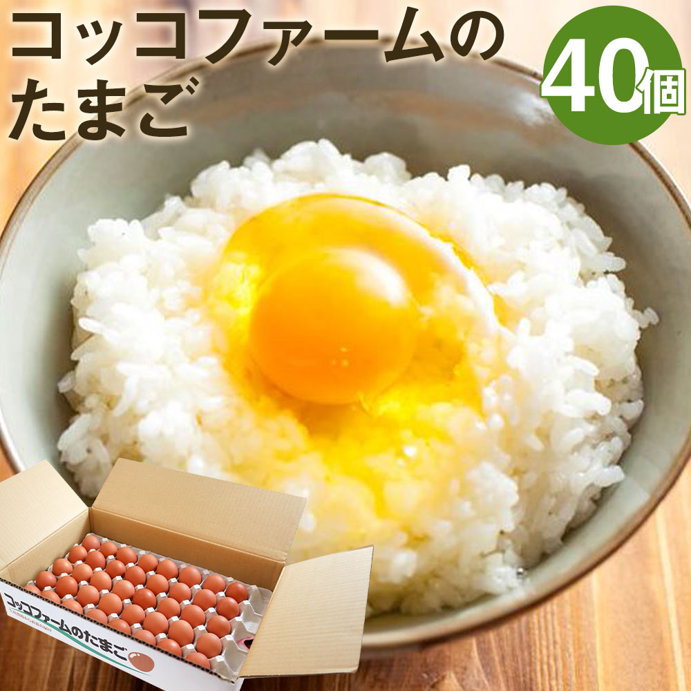 【ふるさと納税】コッコファームのたまご 40個入 卵 鶏卵 玉子 家庭用 熊本県産 九州産 冷蔵 送料無料《90日以内に出荷予定(土日祝除く)》