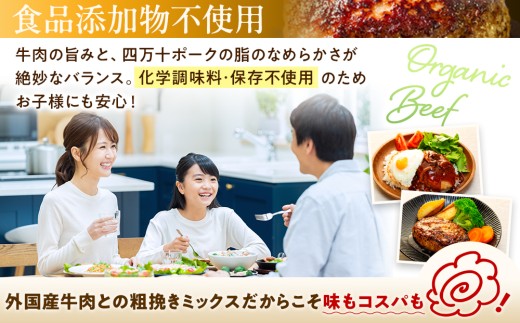 ハンバーグ 四万十ポーク 入り 3.6kg ( 200g × 18個 ) 冷凍 真空 小分け 個包装 肉汁 たっぷり 大容量 大きめ 合挽き 牛肉 豚肉 保存料 不使用 ビーフ ポーク 合いびき肉 挽