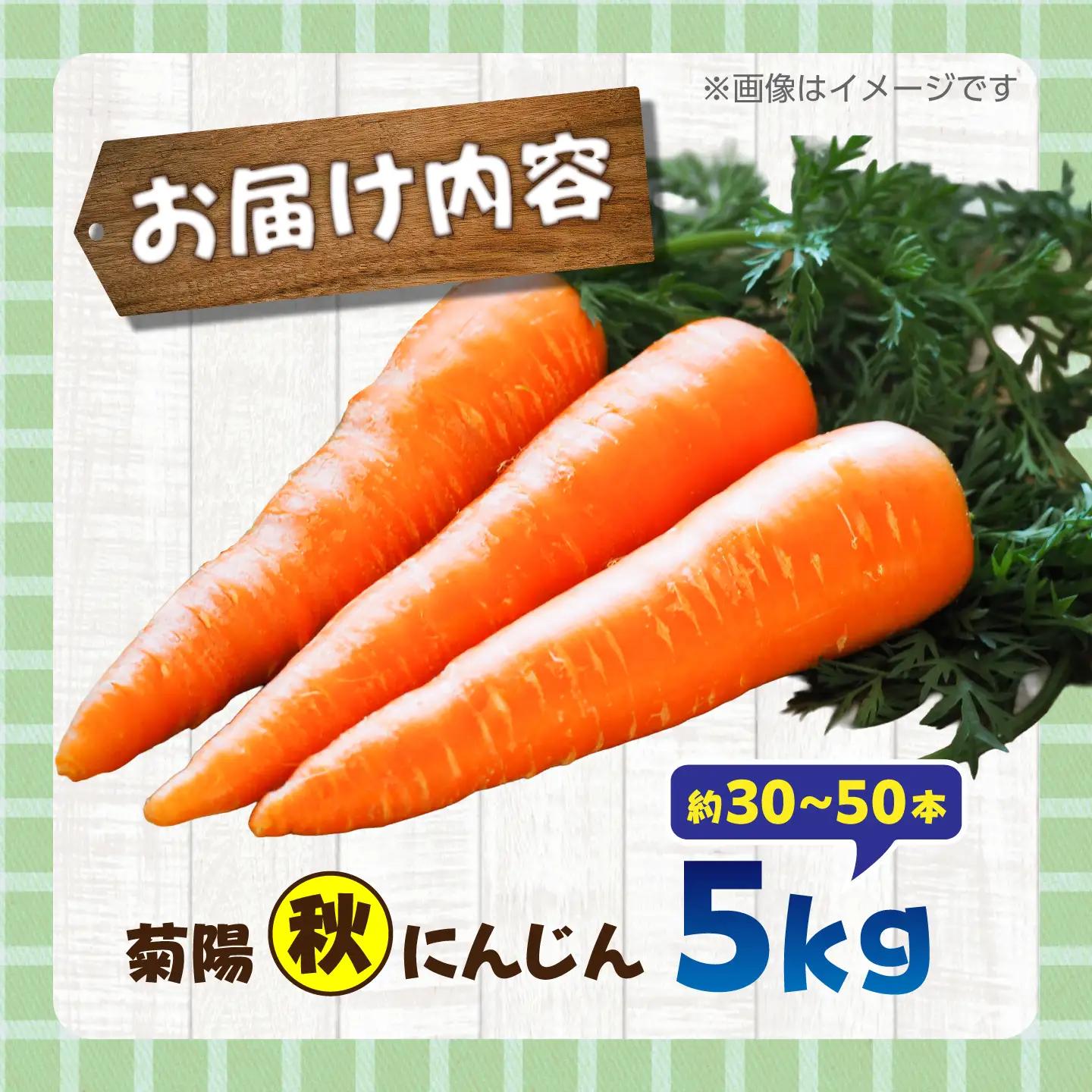 【先行予約】【12月中旬より順次発送】菊陽秋冬にんじん 秀品 約5kg / にんじん 菊陽にんじん 西洋にんじん ニンジン 人参 野菜 熊本 菊陽 【マツモト：ファーム】[BHDH008]