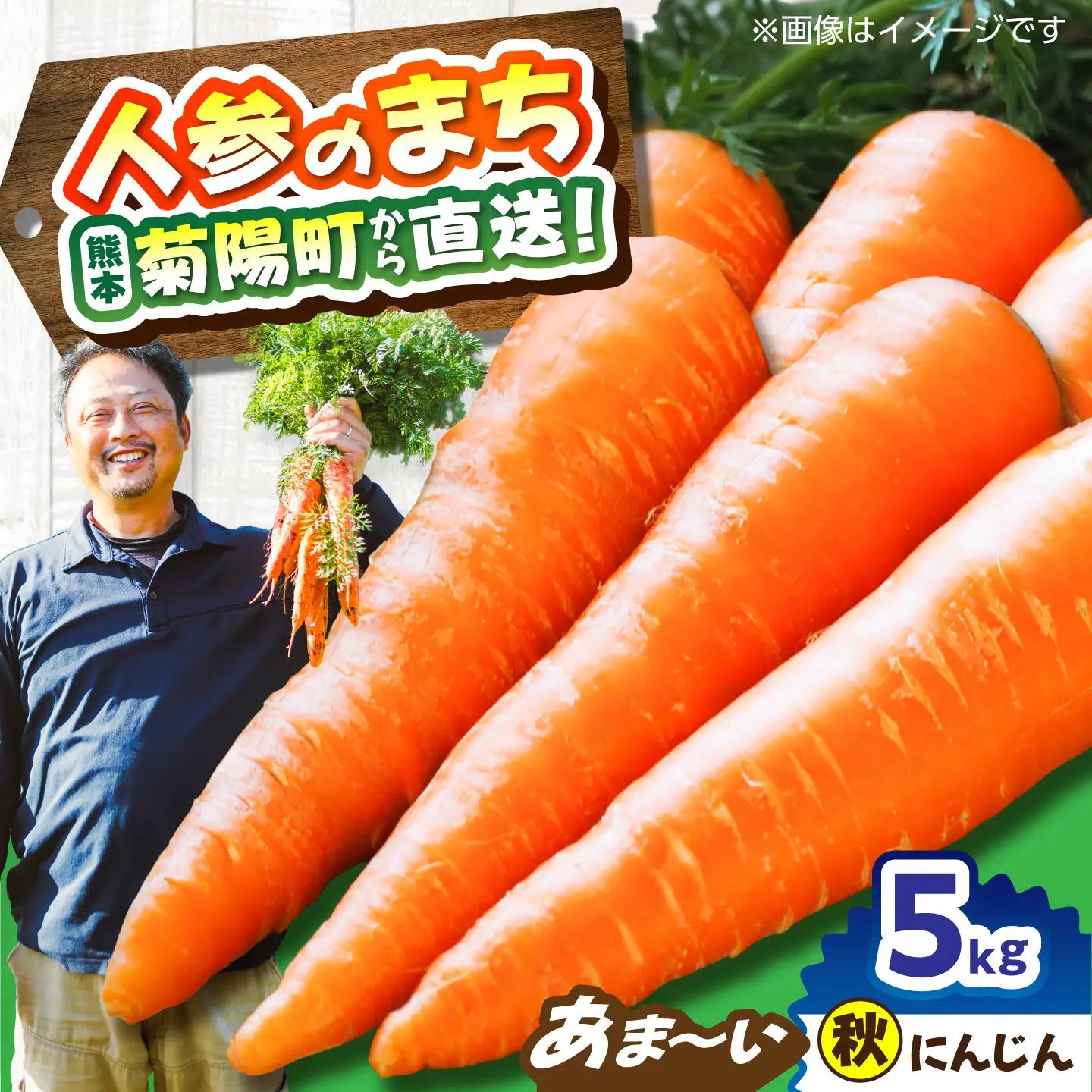 【先行予約】【12月中旬より順次発送】菊陽秋冬にんじん 秀品 約5kg / にんじん 菊陽にんじん 西洋にんじん ニンジン 人参 野菜 熊本 菊陽 【マツモト：ファーム】[BHDH008]