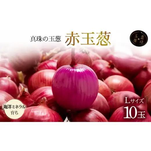 真珠の玉葱 ルージュ Lサイズ 10玉 ＜海のミネラルで育てた赤玉葱＞【a134-007】【50107】