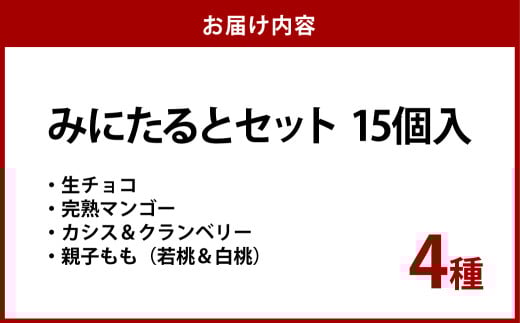 みにたると 15個セット【ケーキ タルト フルーツ スイーツ フルーツタルト 人気スイーツ 人気タルト 岡山県 倉敷市 おすすめ 人気】