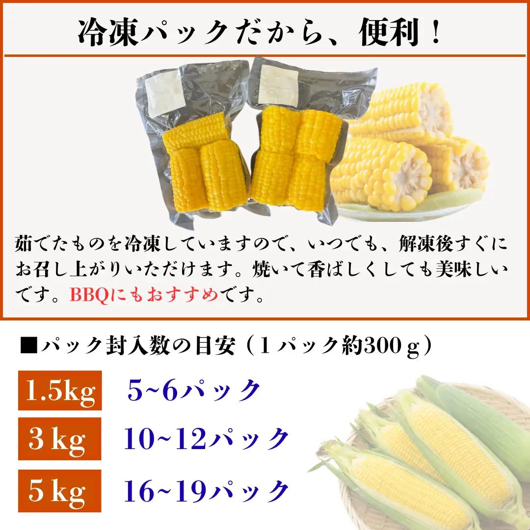 とうもろこし 3kg 冷凍トウモロコシ 秋田県産 パック 訳あり