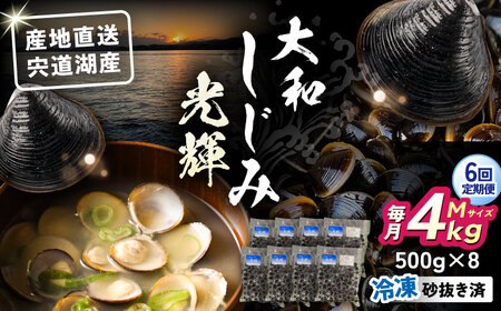 【全6回定期便】産地直送！宍道湖産 冷凍大和しじみMサイズ4kg(500g×8) 砂抜き処理済 島根県松江市/りすたむmatsue[ALDE014]