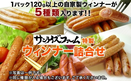 自家製お楽しみウインナー 5パックセットランダム おまかせ 豚肉 フランクフルト ウィンナー あらびき パセリ チョリソ 長ネギ 肉厚 ジューシー 夕食 ご飯 惣菜 おかず おつまみ お酒 送料無料 
