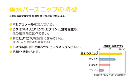 A1-5711／垂水パースニップ　ポタージュ