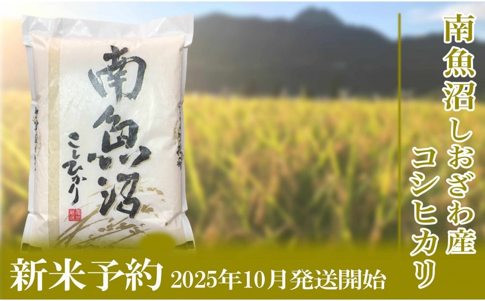 
            【新米予約・令和7年産】定期便／２kg×3ヶ月 生産者限定 南魚沼しおざわ産コシヒカリ【2025年10月上旬より順次発送予定】
          