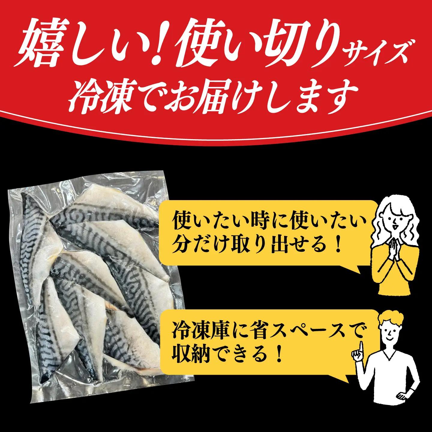【全12回定期便】骨取り塩さば 1kg 500g×2袋 / 小分け / 大村市 / かとりストアー / 骨なし 骨取り 下処理不要 子ども 安心 冷凍 さば サバ 鯖[ACAN155]