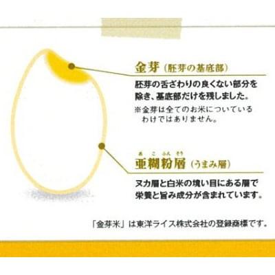 ふるさと納税 安来市 BG無洗米・金芽米にこまる 10kg |  | 02