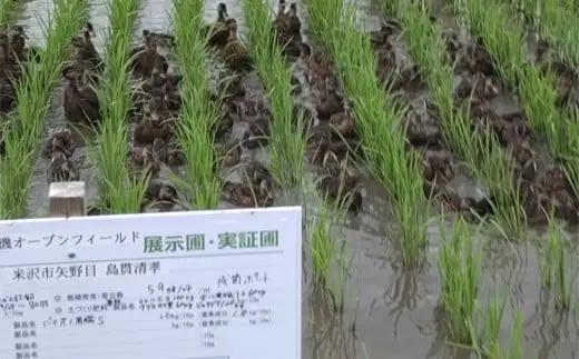 《先行予約》【玄米】 有機JAS つや姫 2kg 有機肥料100% 無農薬 2026年産 農家直送 ブランド米