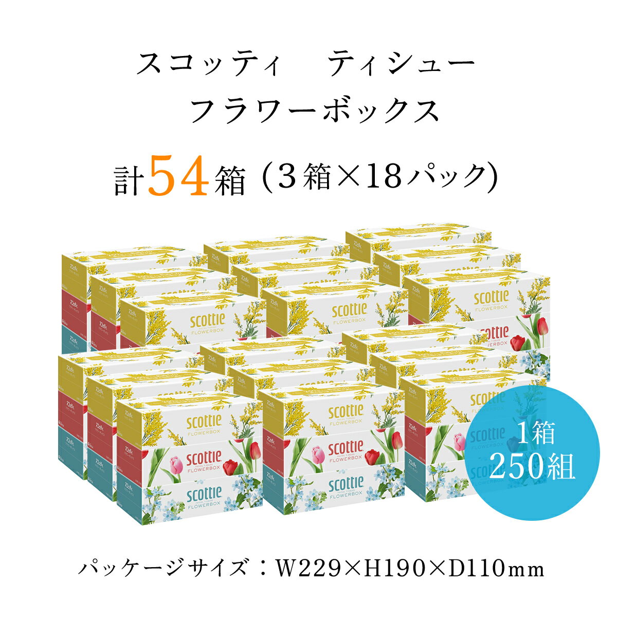 【ふるさと納税】 【選べる配送月】スコッティ ティシュー フラワーボックス 250組 54箱 (1ケース3箱×18パック) ボックスティッシュ 箱 ティッシュ ティシュー 長持ち リピート 高品質 素敵 保管 クレシア ティッシュペーパー 日用品 生活必需品 まとめ買い 京都府 FCAS003