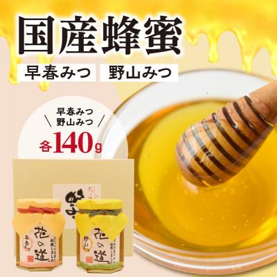 ふるさと納税 八女市 【県南部の桜地帯で採取した味わい豊かな蜂蜜】国産蜂蜜　早春みつ・野山みつ