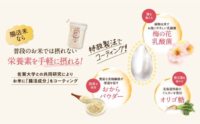 【いつものご飯で腸活！】腸活米 150g×20個セット 令和6年度産・新米【出島トンボロ】 [VD10]