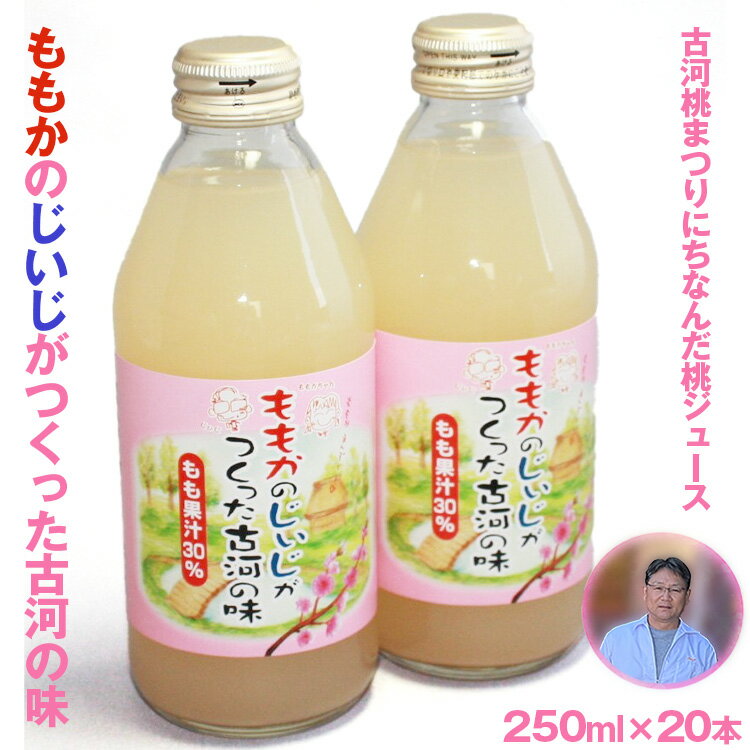 【ふるさと納税】ももかのじいじがつくった古河の味　250ml×20本入 | ドリンク 桃 もも モモ ジュース びん ビン 飲料 ご当地ドリンク 取り寄せ お取り寄せ ご家庭用 手土産 美味しい すっきり ギフト 厳選 贈答 贈り物 お中元 夏ギフト プレゼント _EG01