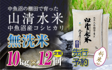 【令和8年産 先行予約】【定期便／全12回】無洗米10kg 新潟県魚沼産コシヒカリ「山清水米」