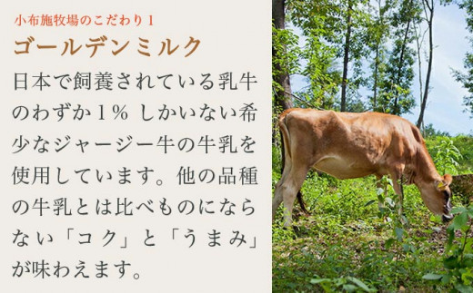 小布施牧場ジャージーミルクアイス 750ml × 2個 ［小布施牧場］アイスミルク アイス スイーツ デザート 菓子 お取り寄せ