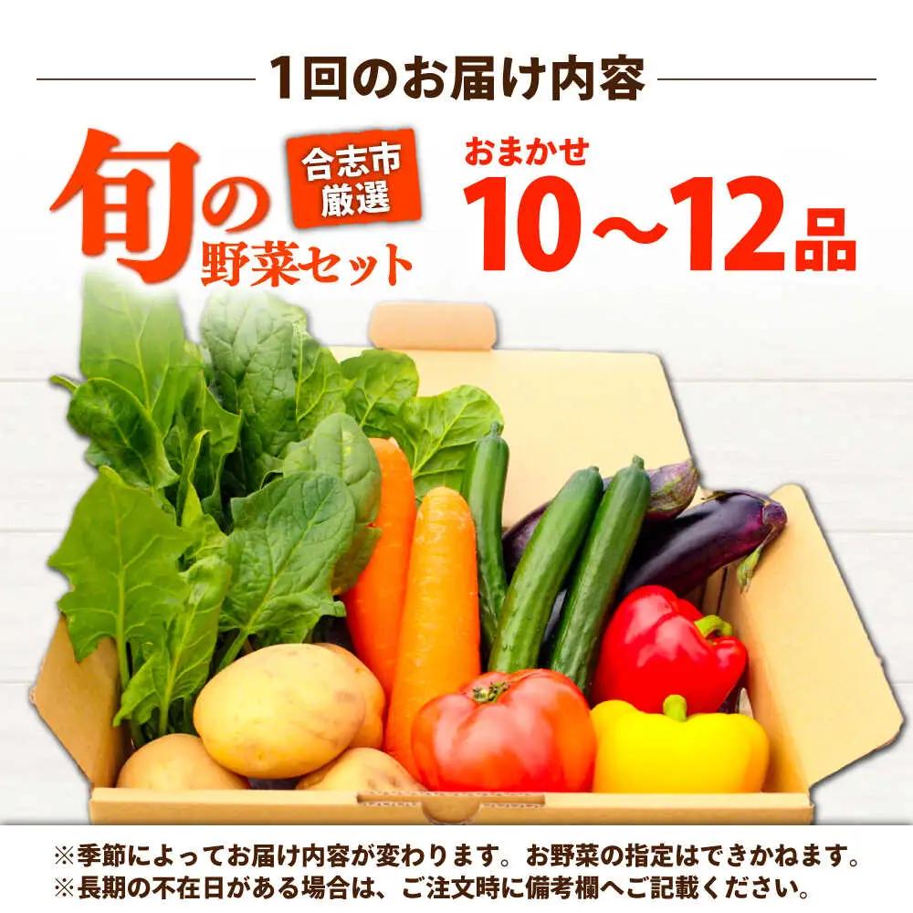 【年5回コース定期便】合志の旬のお野菜10品から12品目  野菜[AYAB020]