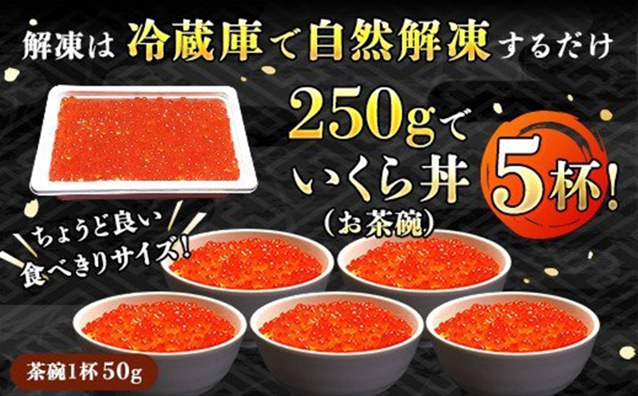  いくら醤油漬け 250g ×1箱  　| 国産 北海道産 いくら いくら醤油漬 イクラ ikura 天然 鮭 サーモン  鮭卵 鮭いくら 小分け サイズ 北海道 昆布のまち 釧路町 釧之助本店 ご飯