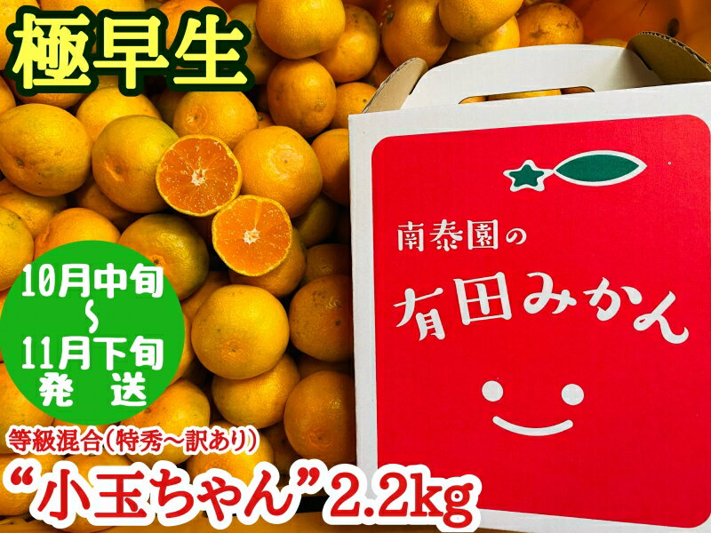 【ふるさと納税】【極早生・有田みかん】小玉ちゃん 約2.2kg (等級混合・2S～4Sサイズ混合)【ミカン 蜜柑 柑橘 温州みかん 和歌山 有田 小粒 小玉】
