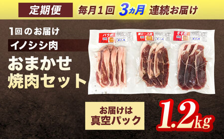 【3回定期便】天然イノシシ肉 おまかせ焼肉セット 1,200g (ロース・モモ・バラ) / ジビエ 猪肉 いのしし肉 ジビエ肉 肉じゃが用肉 イノシシ いのしし焼肉 長崎ジビエ 猪 ぼたん鍋 鍋肉 猪