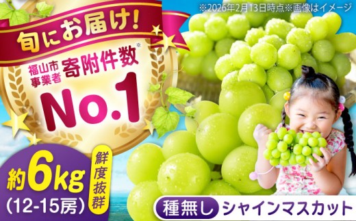 数量限定/9月上旬〜9月下旬頃発送 沼隈ぶどう「シャインマスカット」 約2kg×3(12〜15房) 広島県福山市/福山市農業協同組合 沼隈グリーンセンター ぶどう ブドウ 葡萄 種なし 大粒 マスカット シャインマスカット[BAEV012]