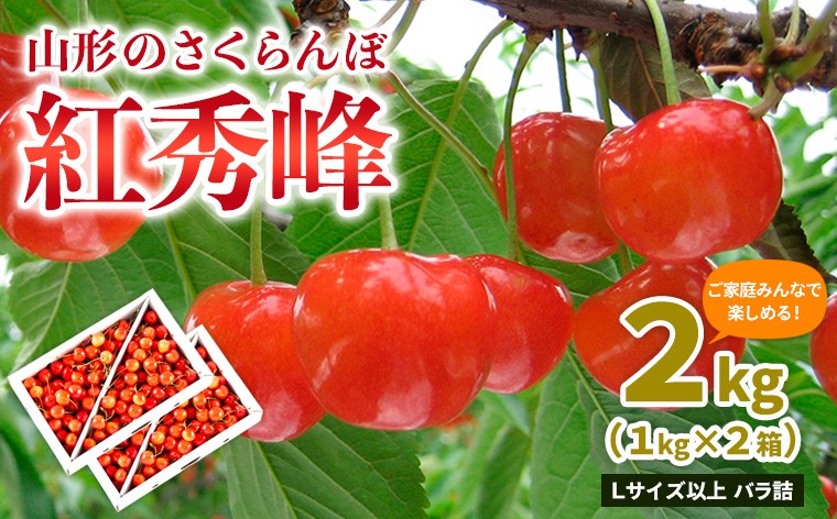 
                  【ご家庭みんなで楽しめる！2kg】山形のさくらんぼ 紅秀峰 2kg Lサイズ以上 バラ詰 (1kg×2箱) 【令和9年産先行予約】FS25-010
                