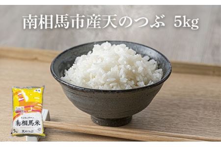 令和7年産 天のつぶ 白米 5kg | 福島県産 ふくしま未来農協 