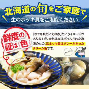 【数量限定】 獲れたて直送 ホッキ貝 約4kg　（ホッキ 北寄 ほっき貝 北寄貝 貝 魚介類 魚貝類 海鮮 北海道産 道産 新鮮 活魚 活貝 産地直送 生 国産 とよとみ 北海道 豊富町）